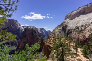 20210428ZionNP_D1092.jpg